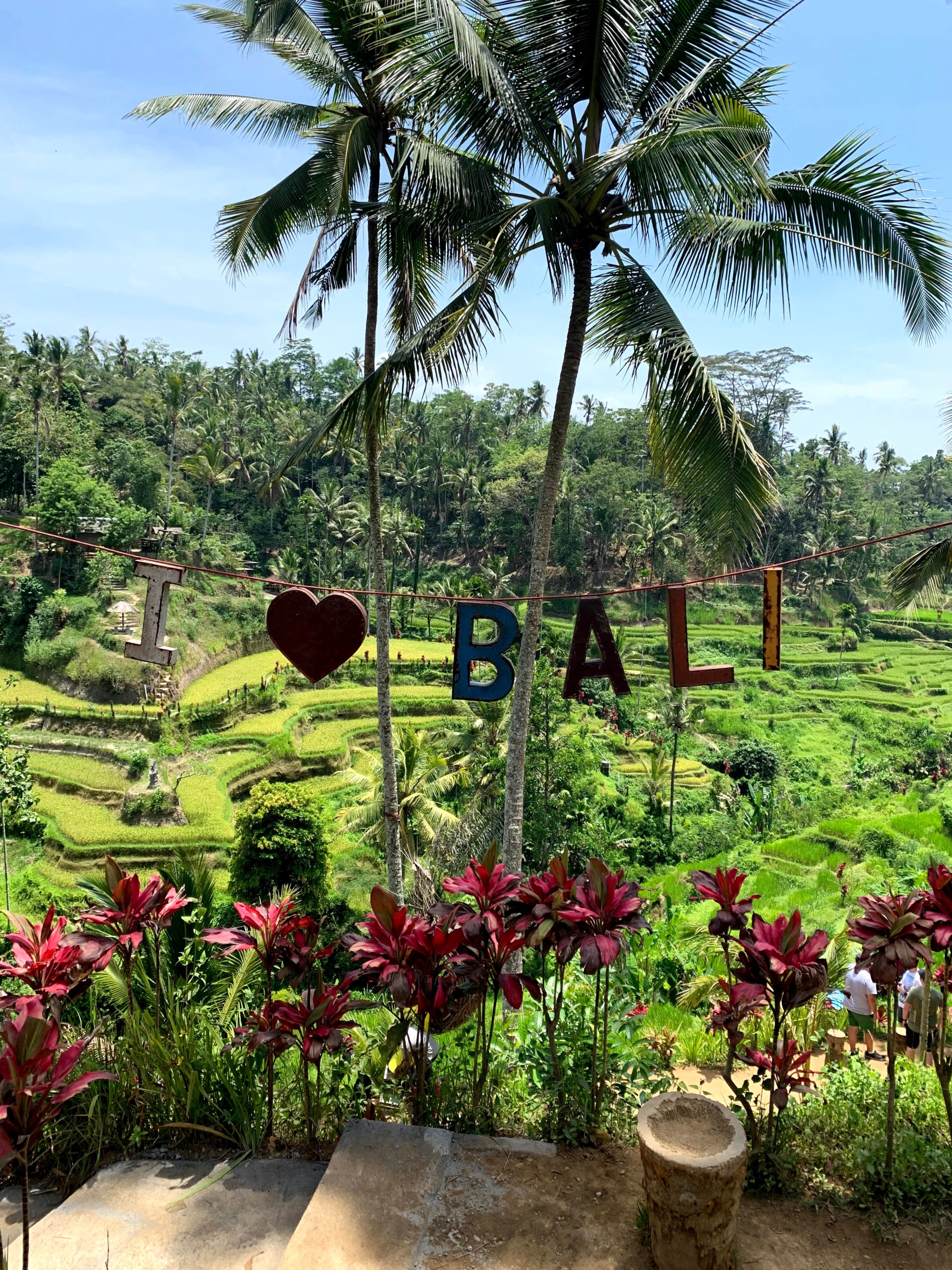 Weaving colors in Bali